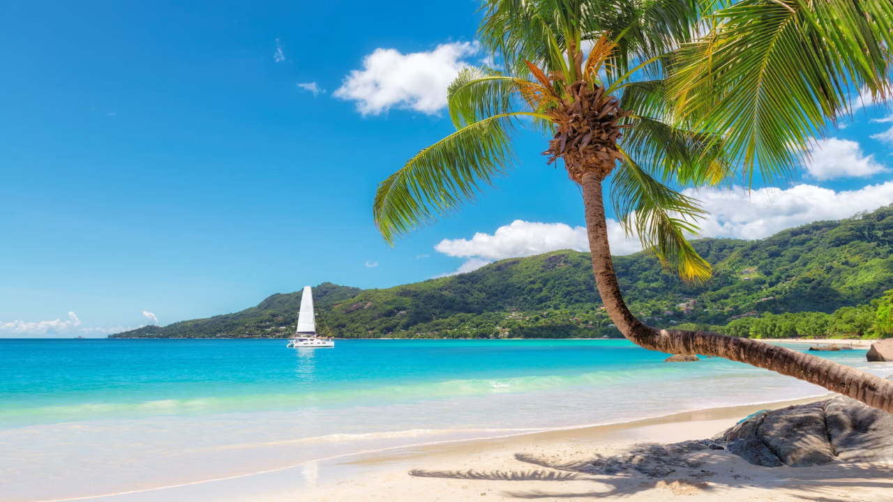 Seychelles yacht