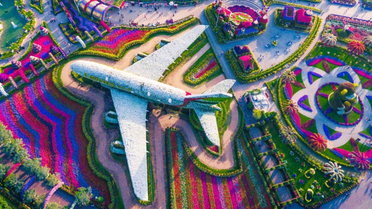 Miracle Garden